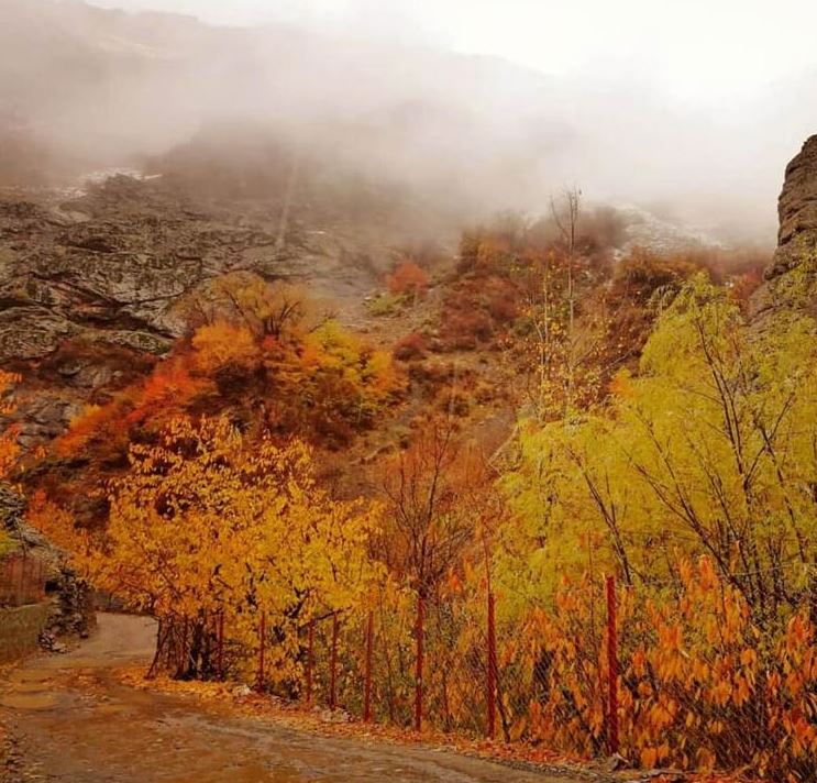 طبیعت بکر امامه در فصل پاییز